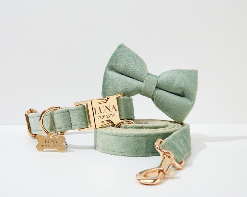 Dog Collar Personalized Bow tie and Flower, Green Mint Thick Velvet Wedding Dog Collar and Leash, Cu