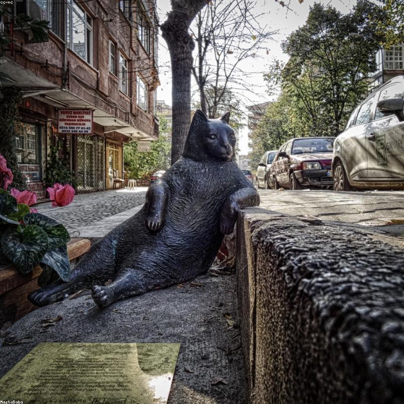 Laisse Tressée Cuir Français — Collection Signature