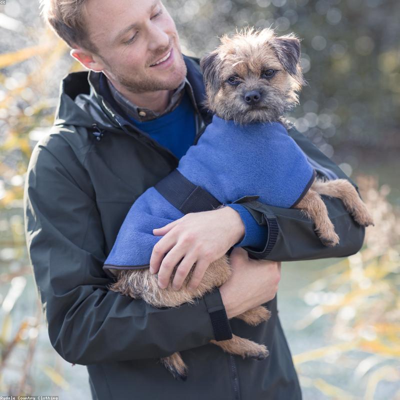 Manteau Chien Tweed Français — Collection Automne